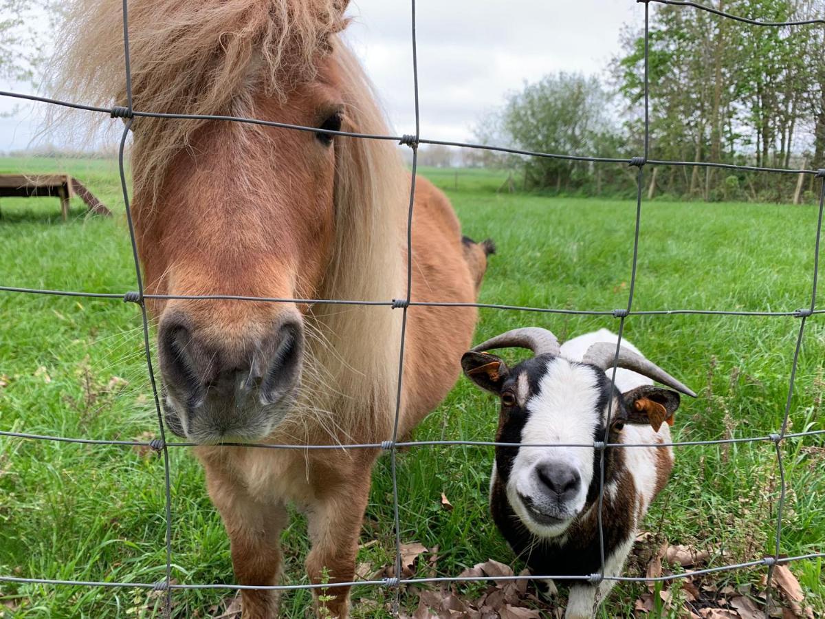 De Scheure, Charmant Vakantiehuisje Midden In De Natuur Alveringem Exterior foto
