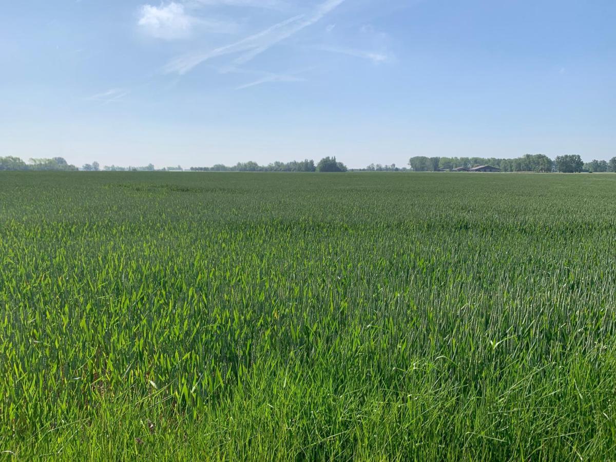 De Scheure, Charmant Vakantiehuisje Midden In De Natuur Alveringem Exterior foto